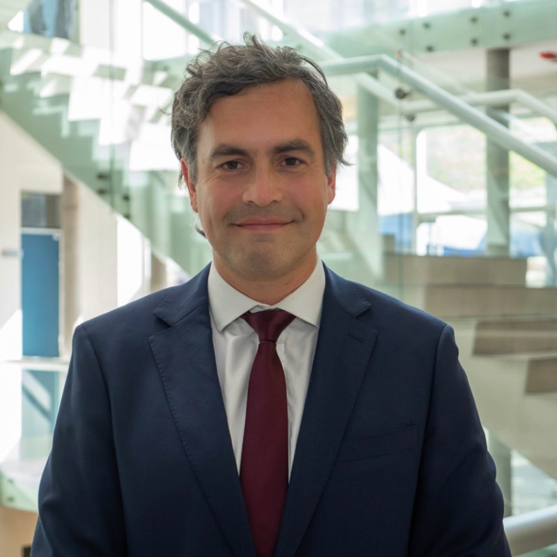 Arenas Flores, Sebastián (Profesor Invitado)