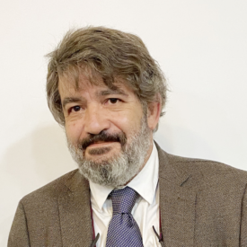 Roa Vial, Armando (Profesor Invitado)