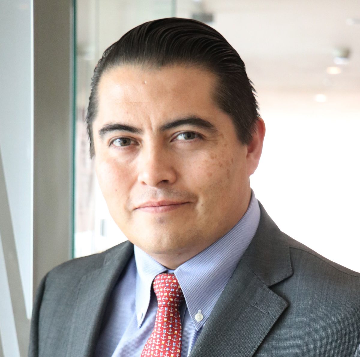 Ibaceta Medina, David