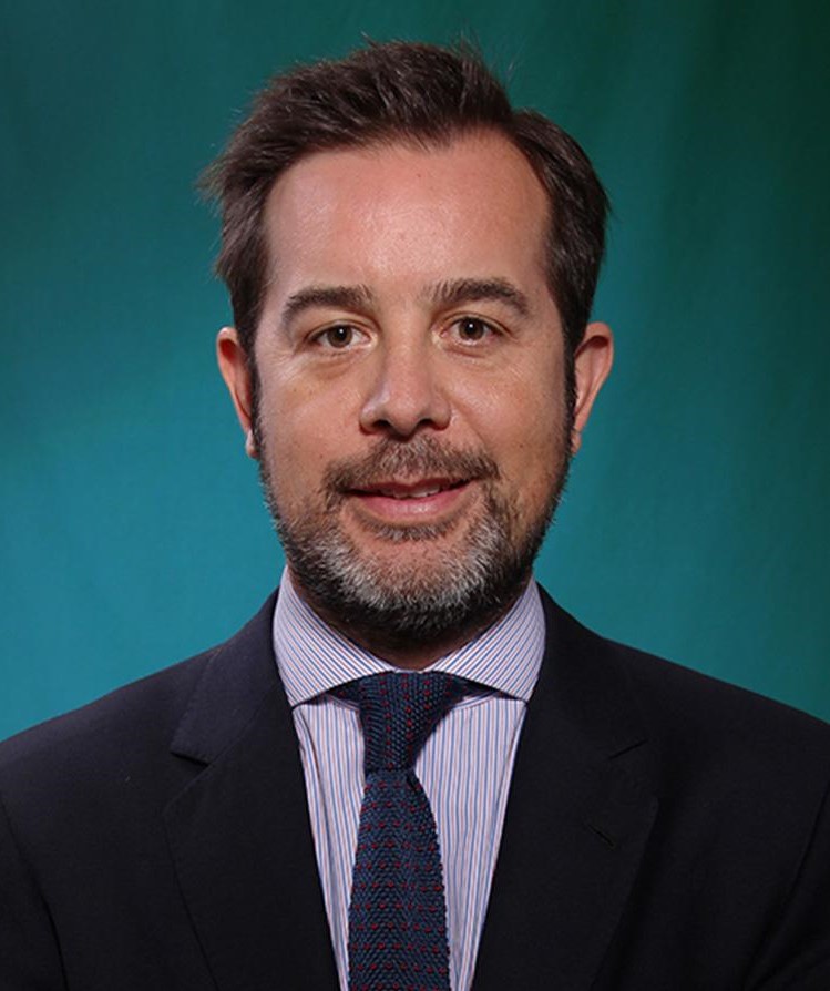 Insunza Tagle, Matías