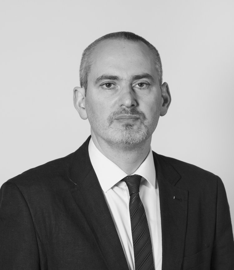 Contreras Chaimovich, Lautaro