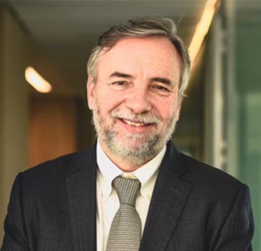 Vergara Fisher, Javier